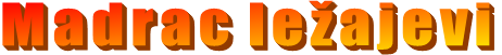 Madrac le�ajevi